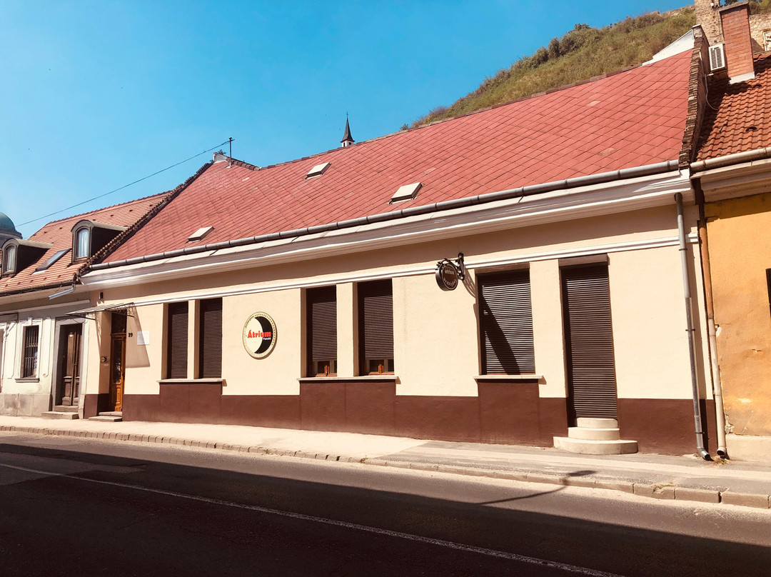 Atrium House Bed and Breakfast主图