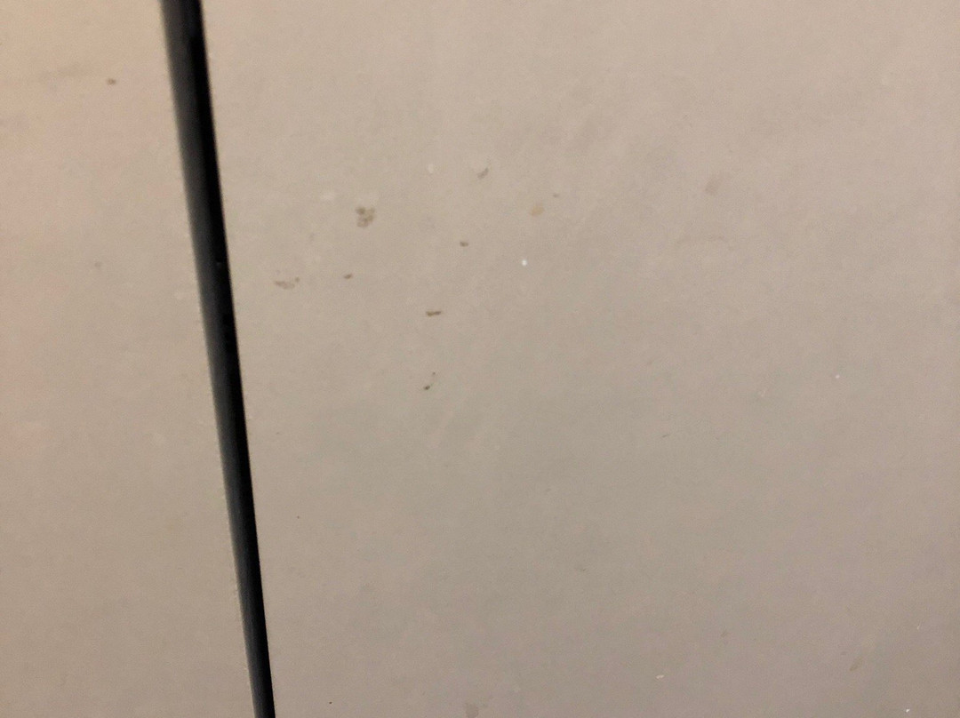 天堂棕榈树度假村主图