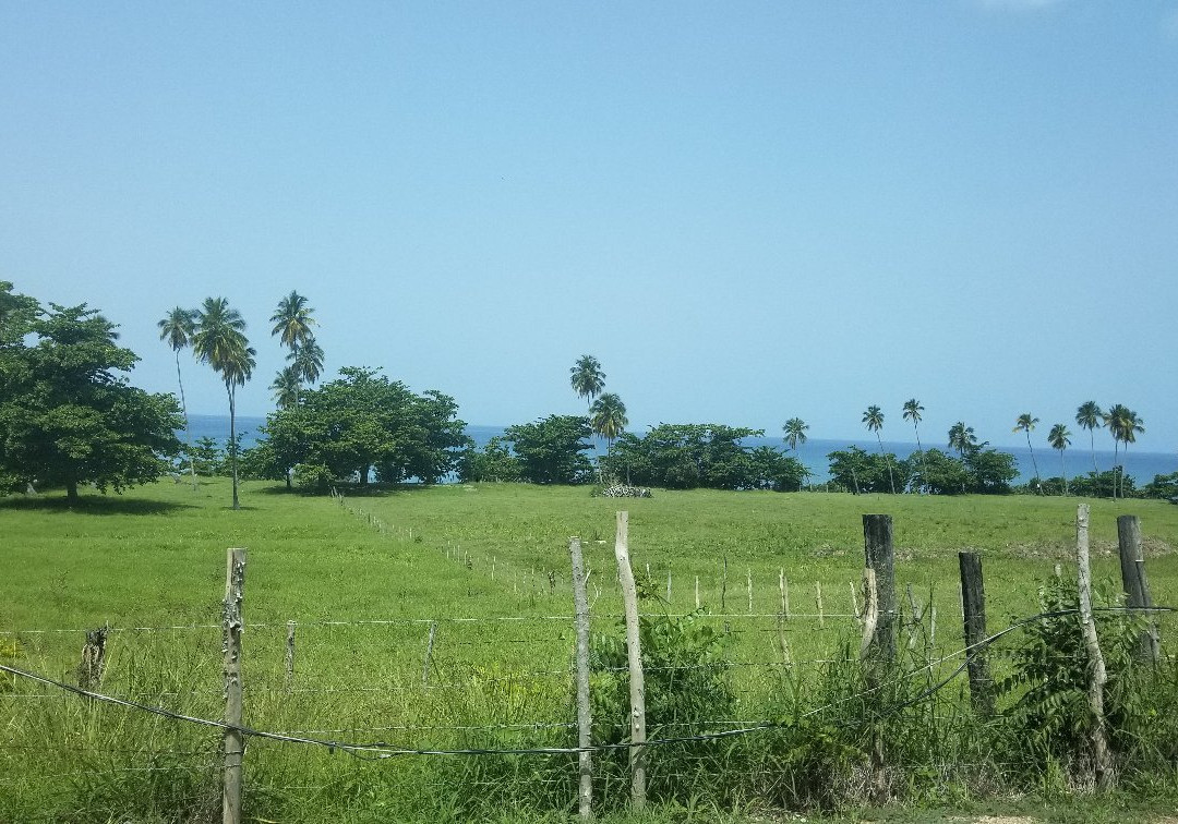 Tres Palmas Marine Reserve-吕康必去景点