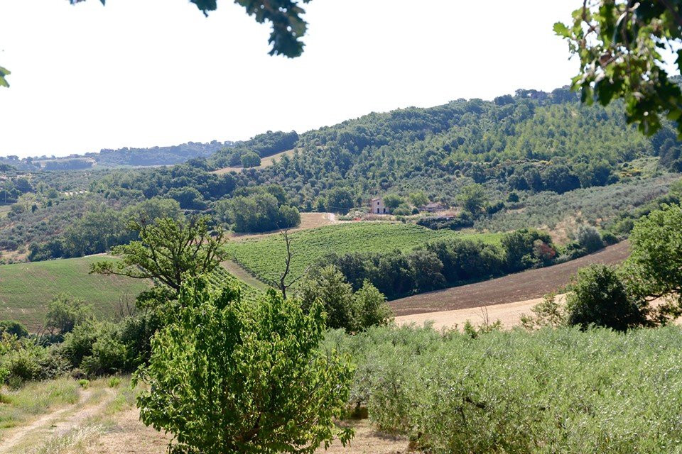 Agriturismo La Casella主图