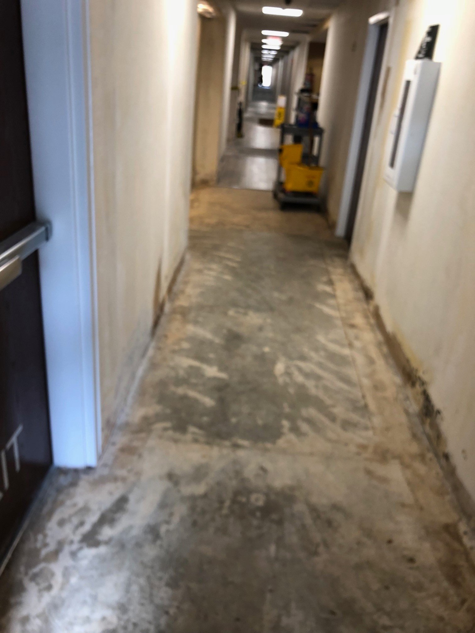 Hampton Inn Birmingham-Colonnade 280-酒店景观