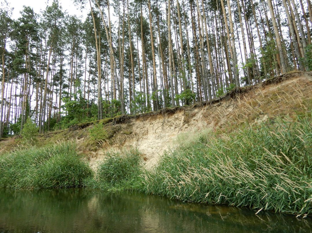 Upper Liswarta Forests Landscape Park景点图片