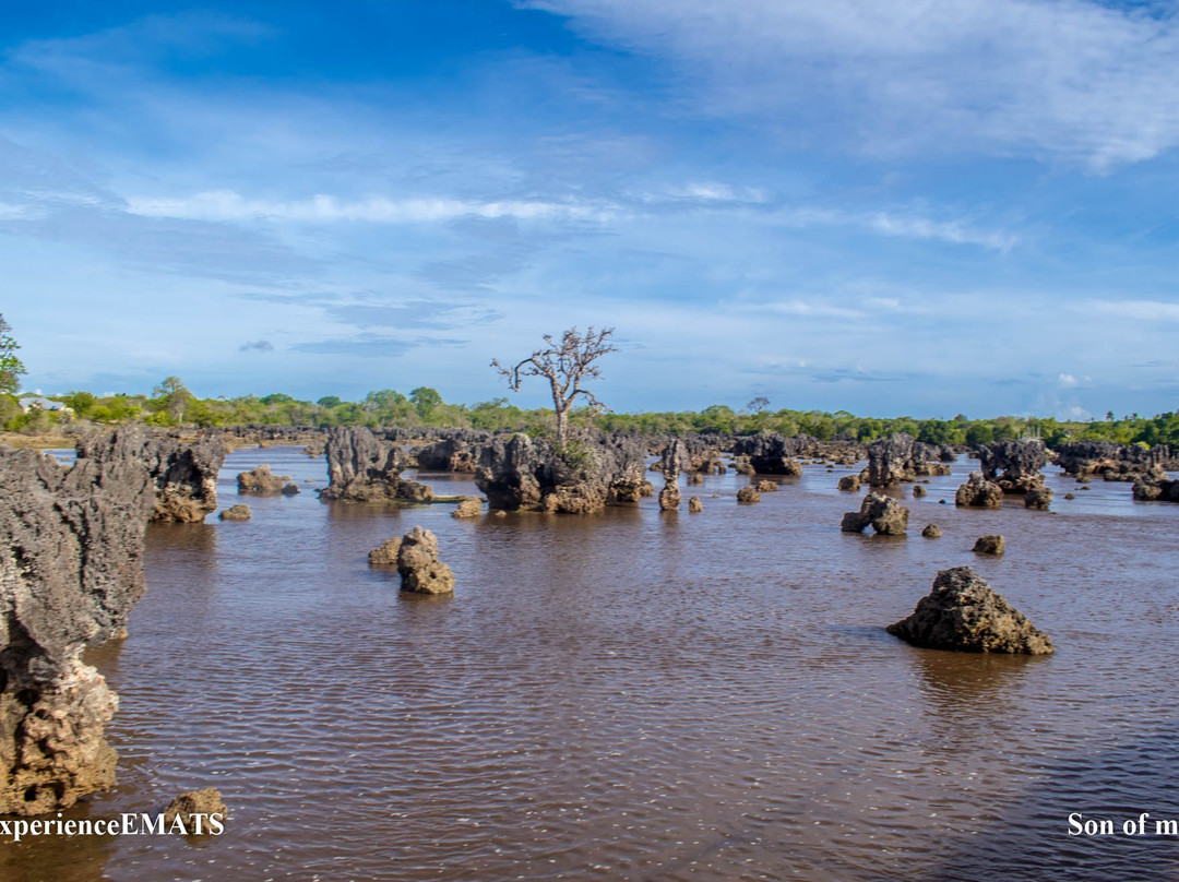 Wasini Womens Group Boardwalk-Wasini Island必去景点