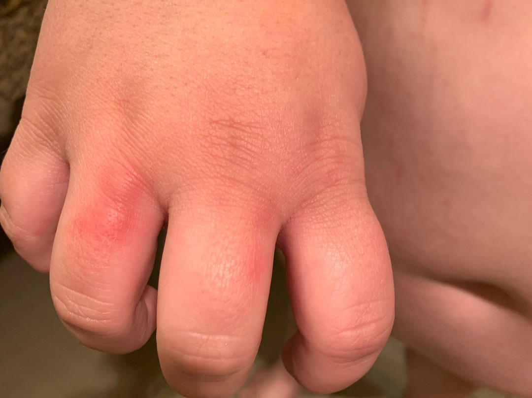 Comfort Suites Milwaukee Airport主图