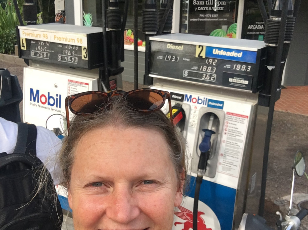 Arcadia Store-Arcadia必去景点