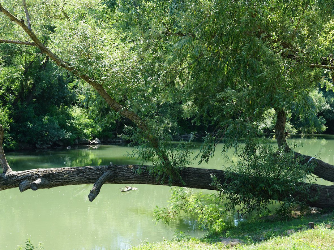 Parco del Volturno景点图片