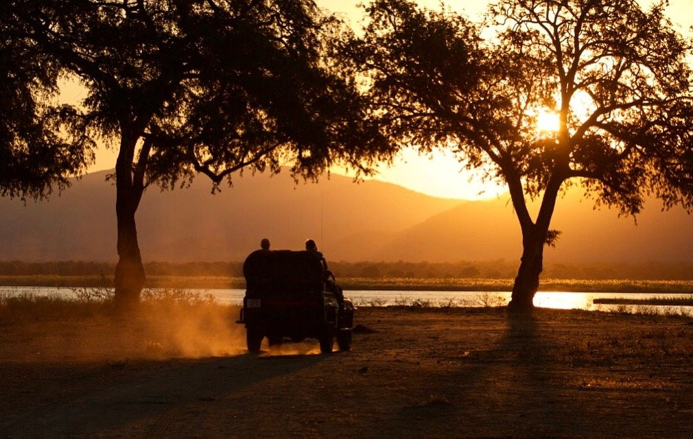Stretch Ferreira Safaris