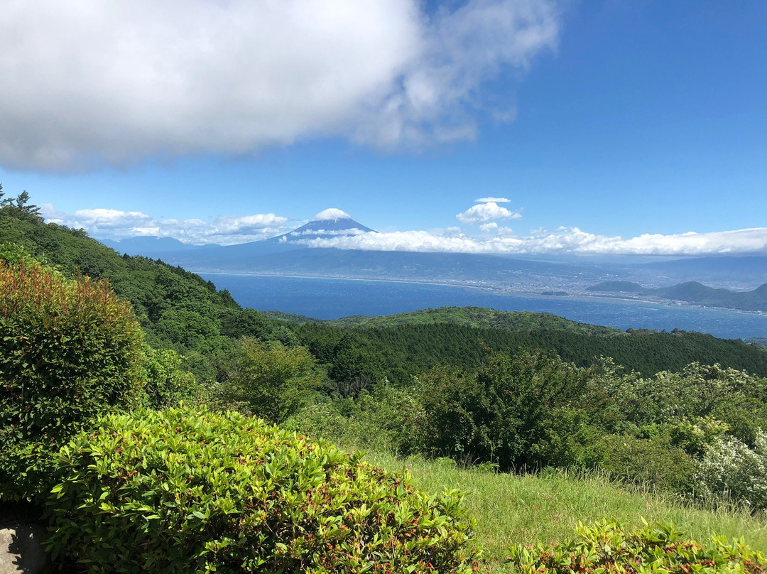 Mt. Daruma-伊豆市必去景点