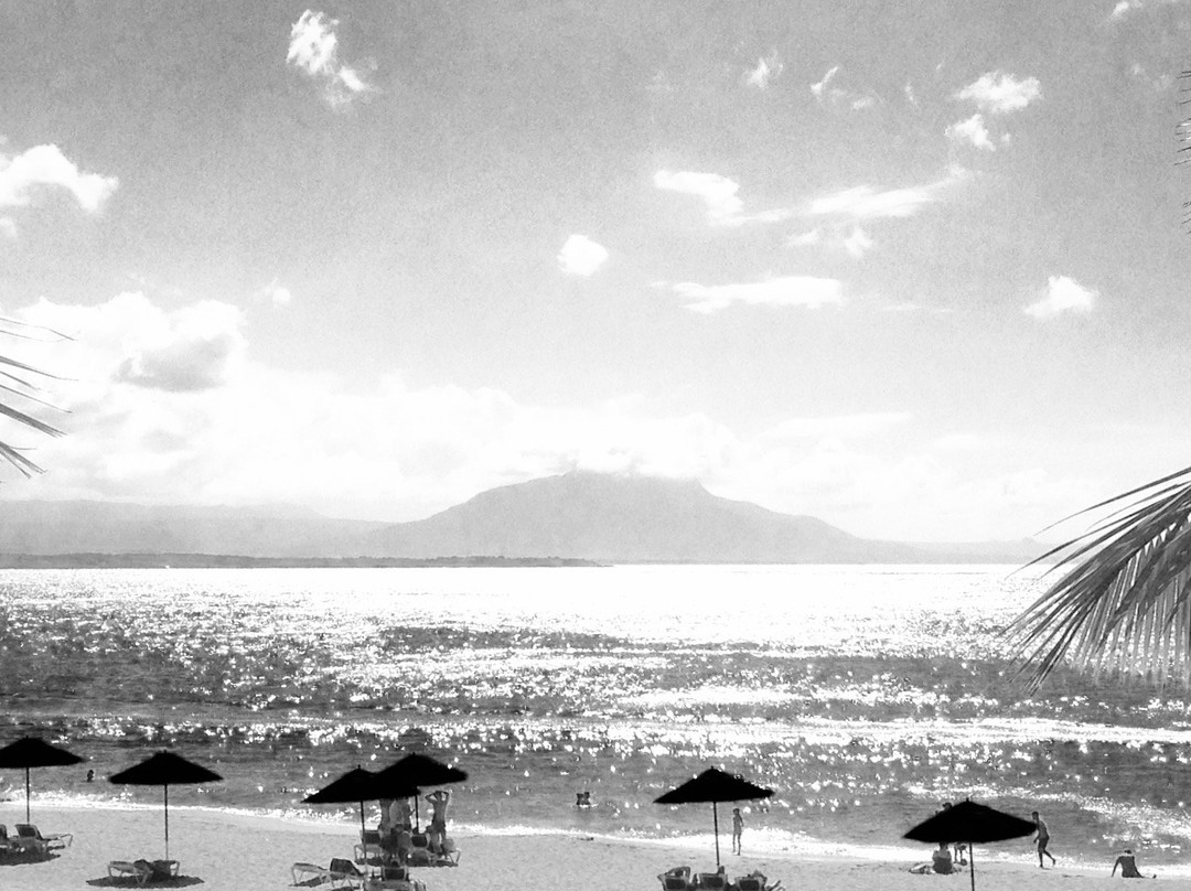 Beach Alicia-苏莎亚必去景点