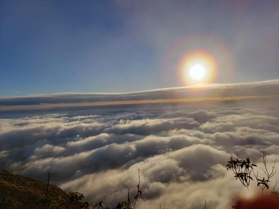 Pico do Papagaio景点图片