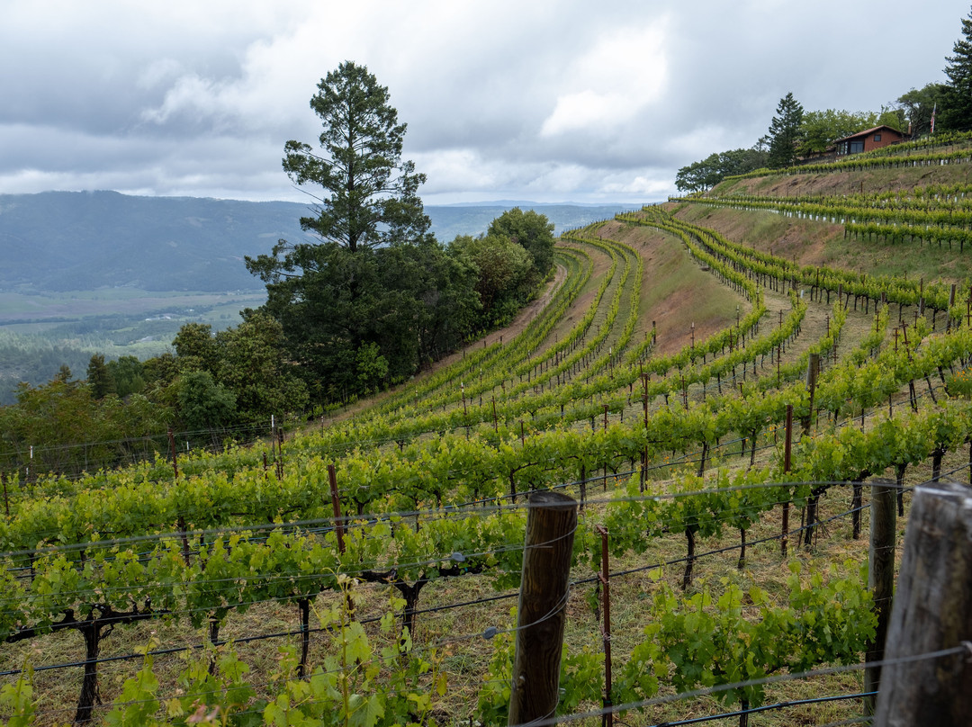 Reserve Wine Tours - Private Tours-纳帕必去景点
