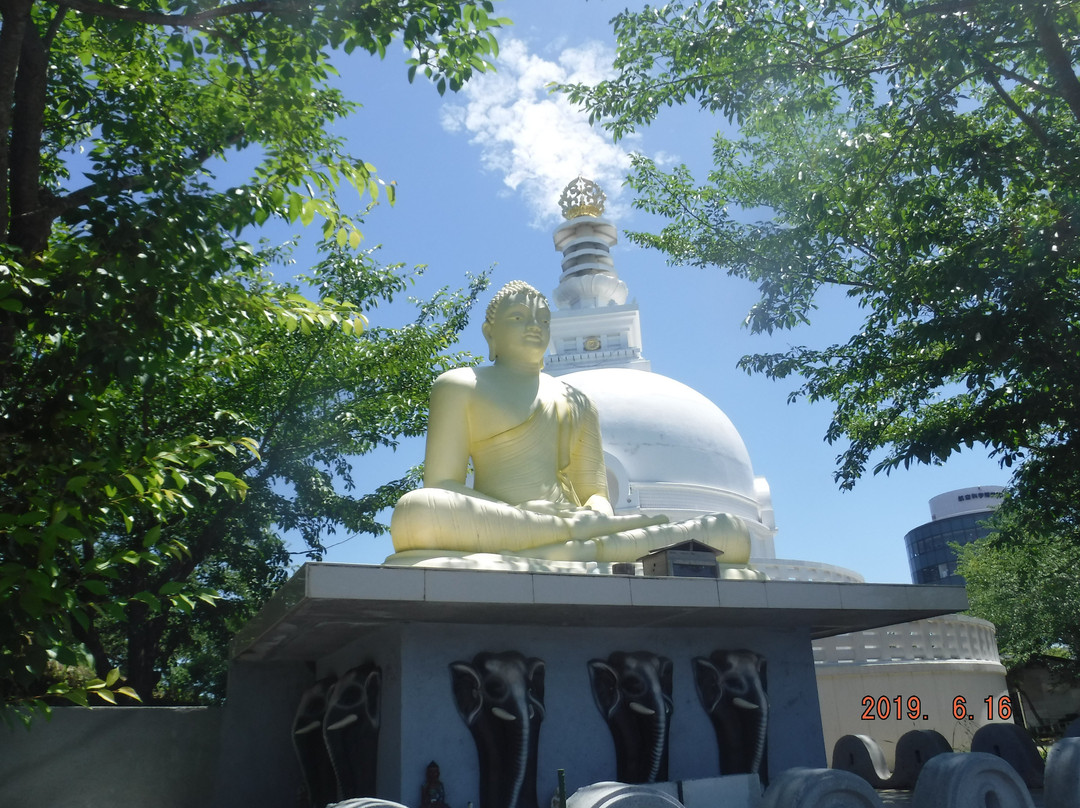 Myoho-ji Temple Narita Dojo-成田市必去景点