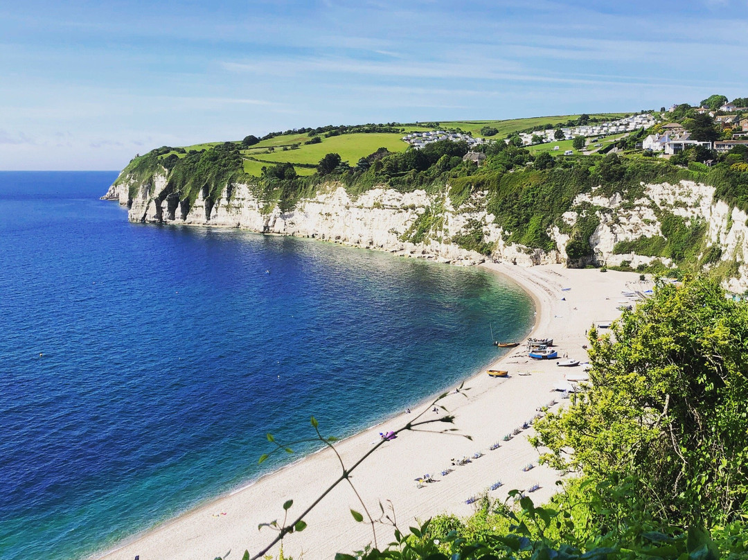 South West Coast Path - Hooken Cliffs景点图片