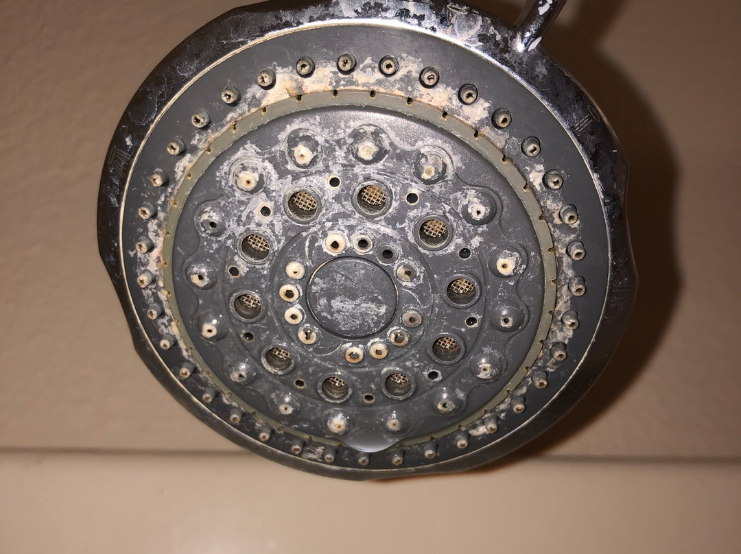 Super 8 by Wyndham LaGrande主图