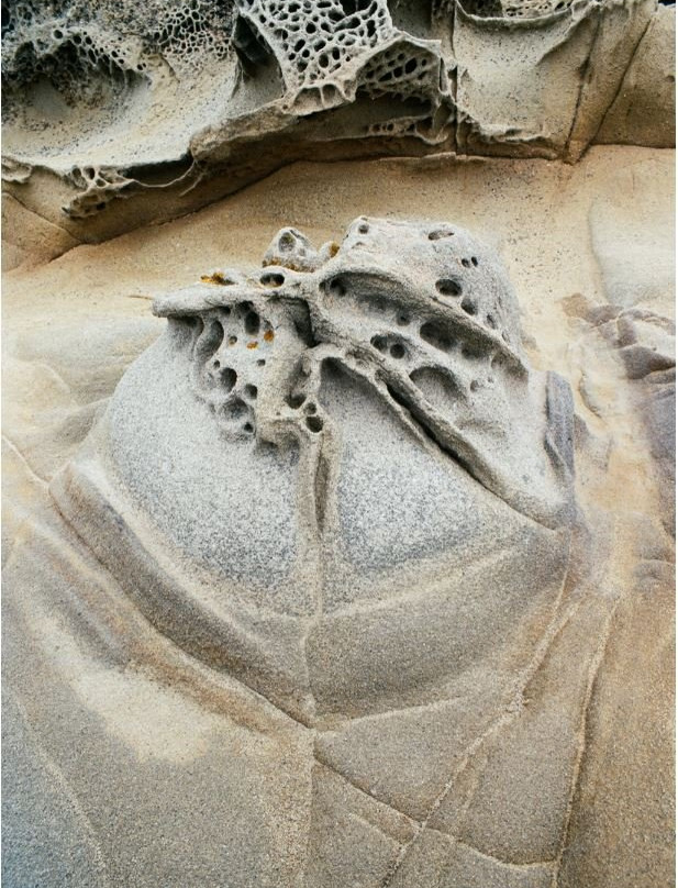 Bean Hollow State Beach-佩斯卡德罗必去景点