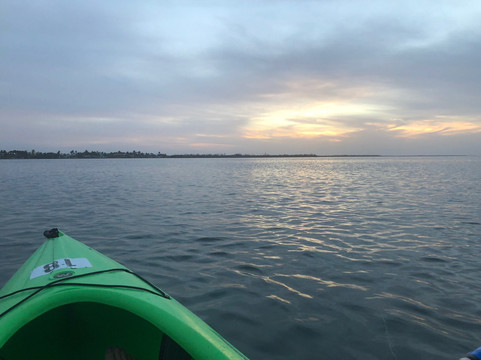 Big Pine Kayak Adventures-Big Pine Key必去景点