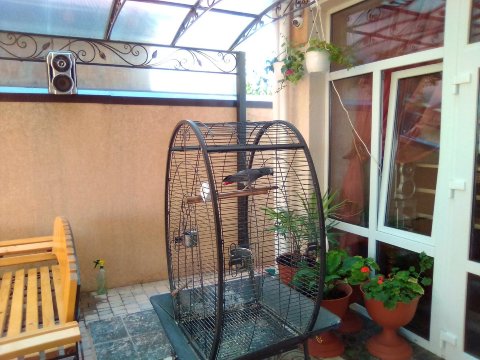 White Lion Hotel-浴室