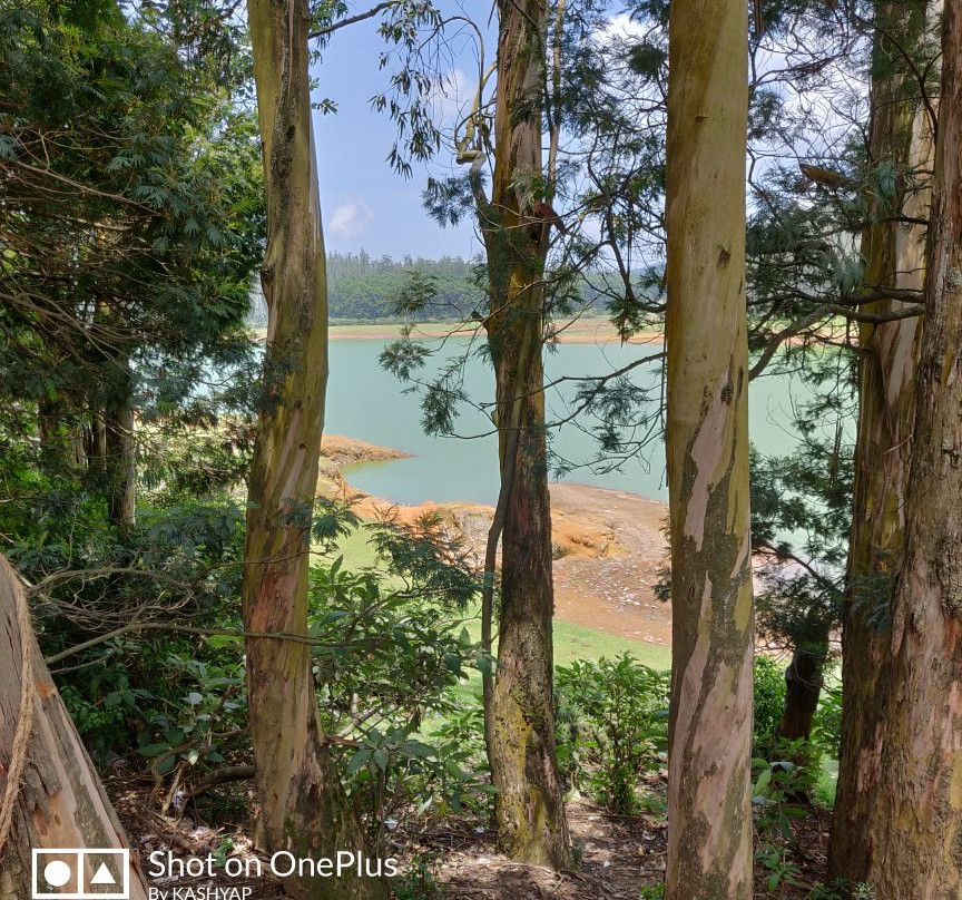 Kamraj Sagar Lake景点图片