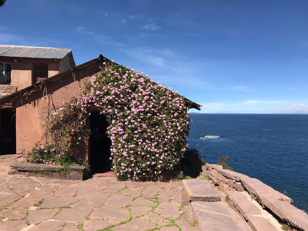 Hospedaje Samary主图