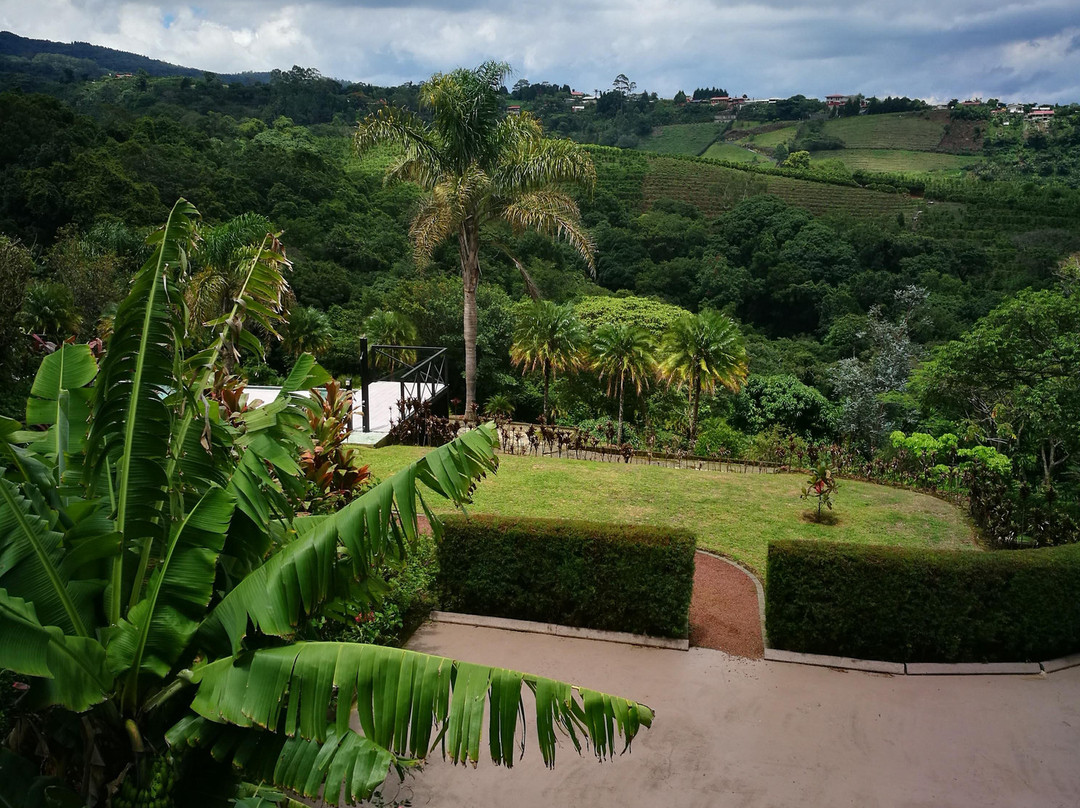 Hotel Mango Valley主图