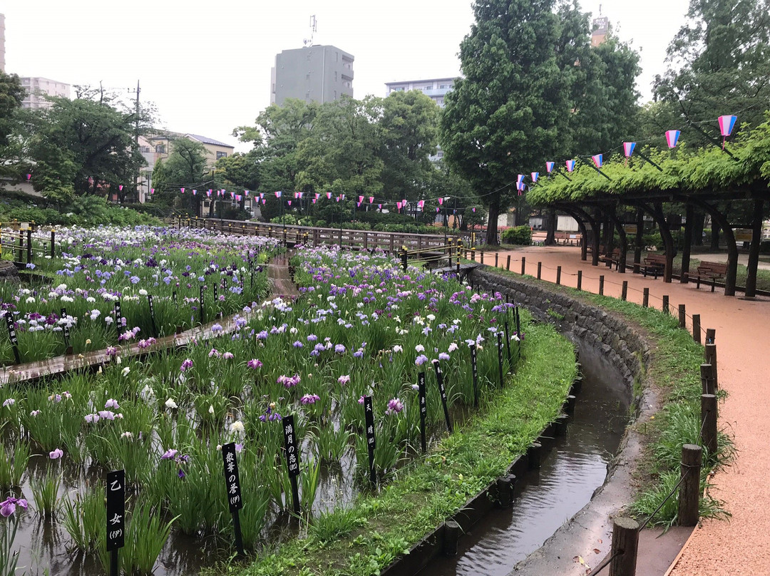 Shobu Numa Park-足立区必去景点