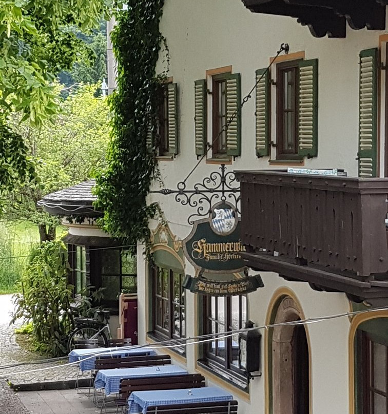 Hotel Gasthof Hoerterer der Hammerwirt主图