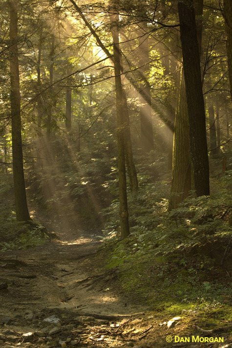 Greylock Glen-Adams必去景点