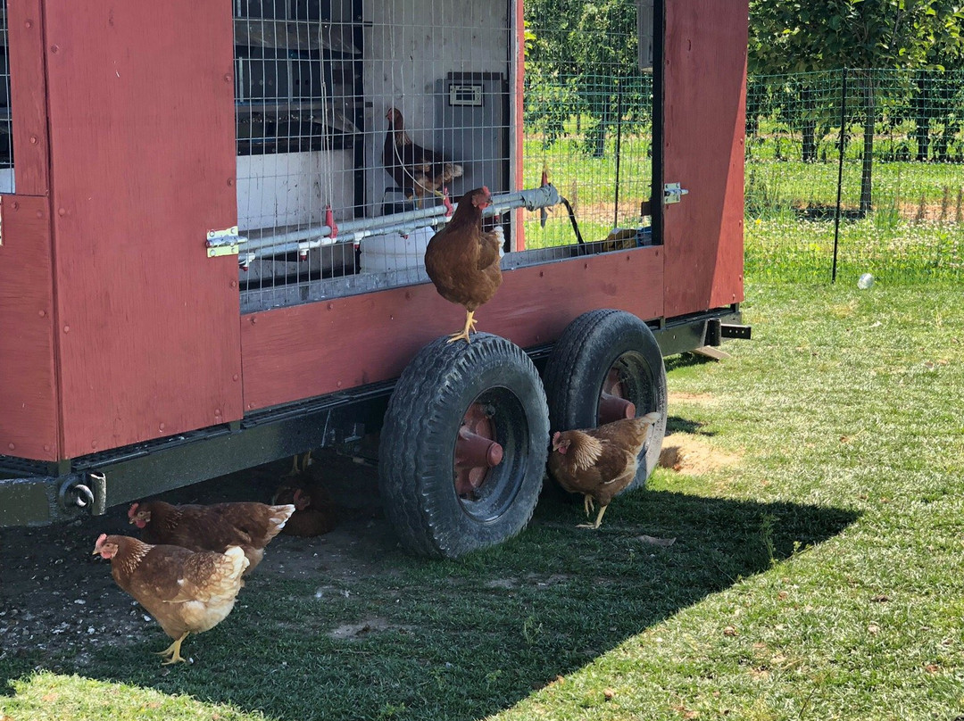T.S. Smith & Sons-Bridgeville必去景点