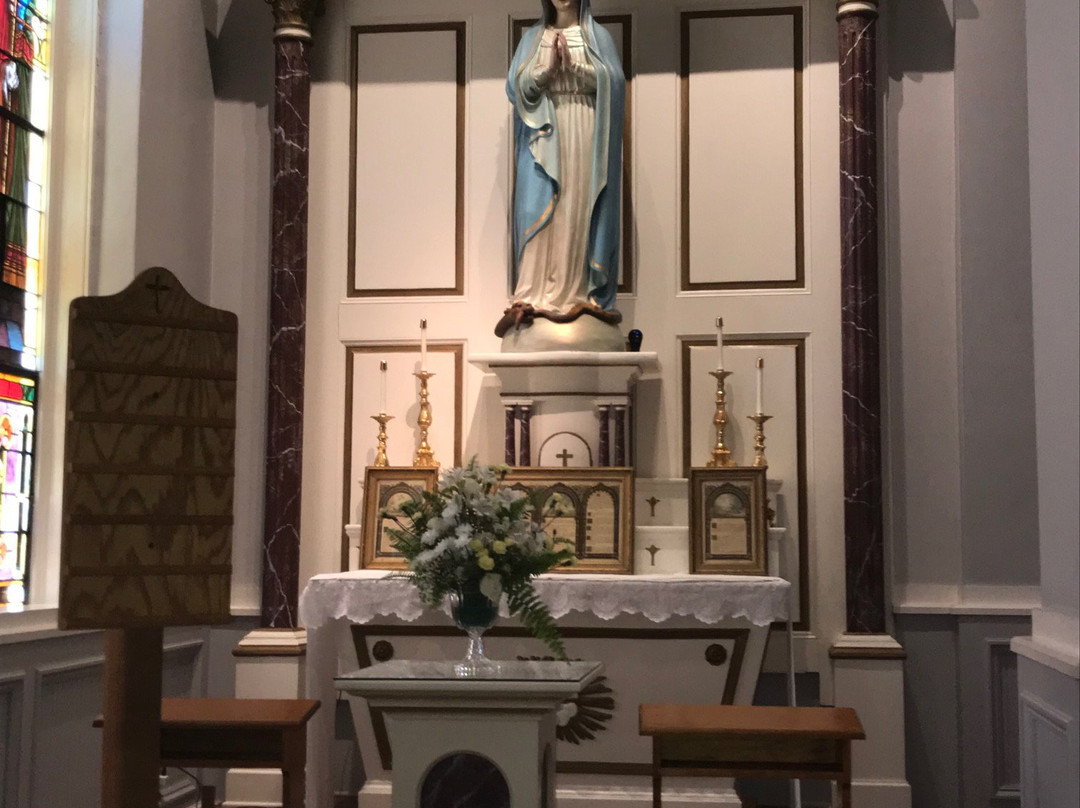 The Minor Basilica Of The Immaculate Conception景点图片