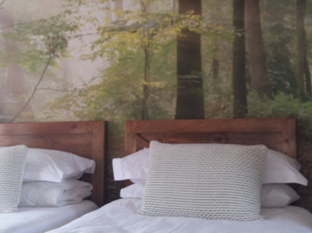 Mountain Trails B&B主图