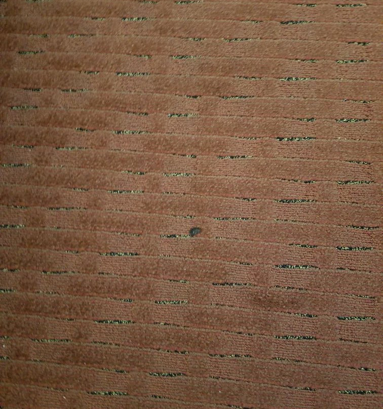 Wyndham Sacramento主图