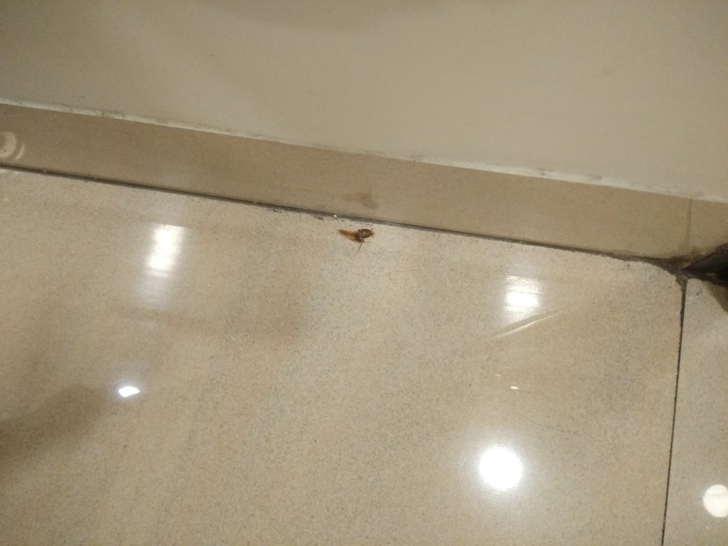 Hotel The Sudesh主图