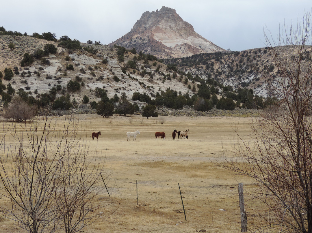 NIPPLE MOUNTAIN RANCH TOURS-卡纳布必去景点