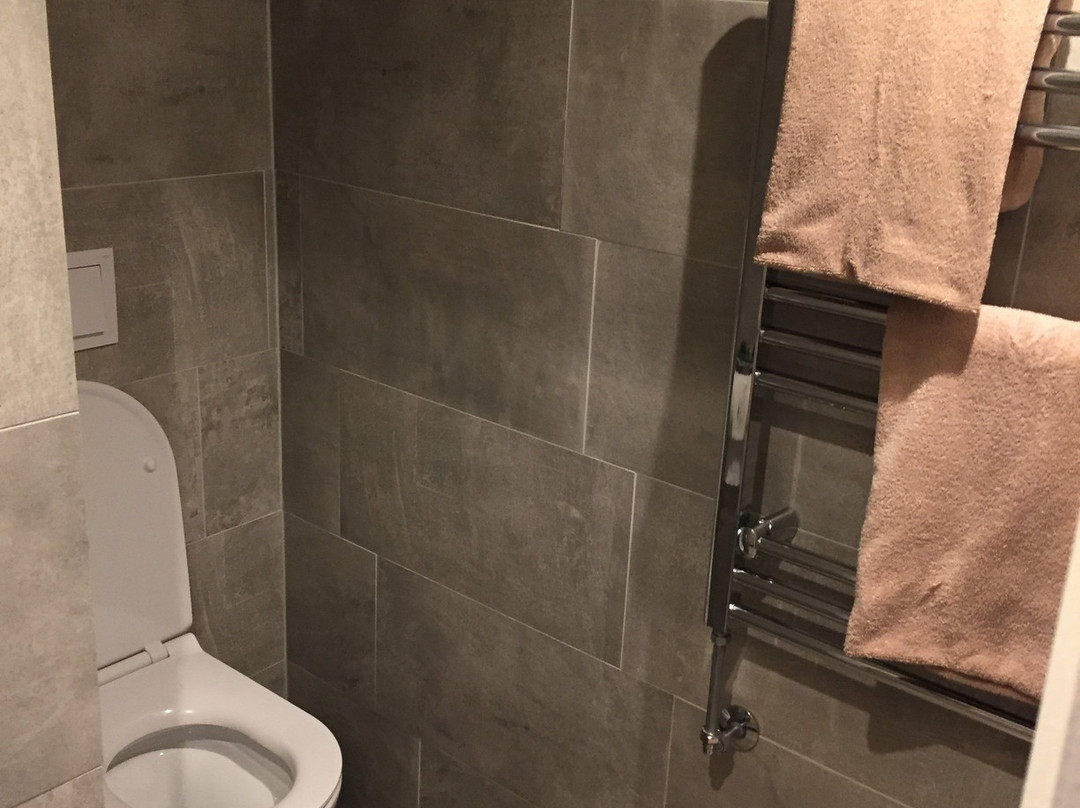 De Slapende Leeuw主图