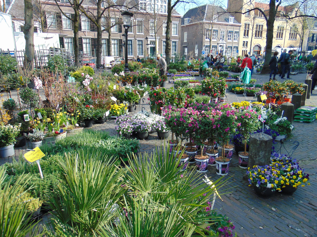 Bloemenmarkt, Janskerkhof, Utrecht景点图片