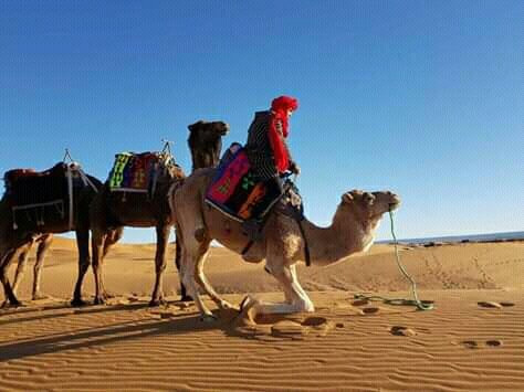 Morocco Via Tours-卡萨布兰卡必去景点