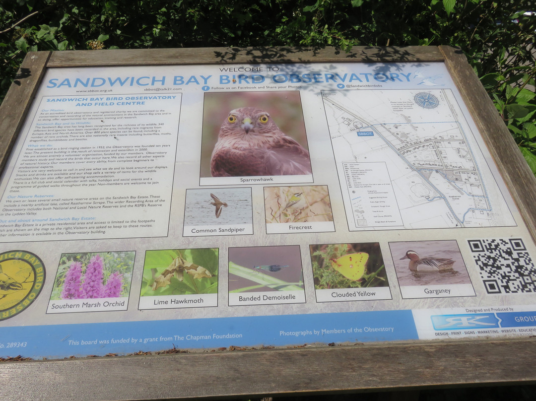 Sandwich Bay Bird Observatory景点图片