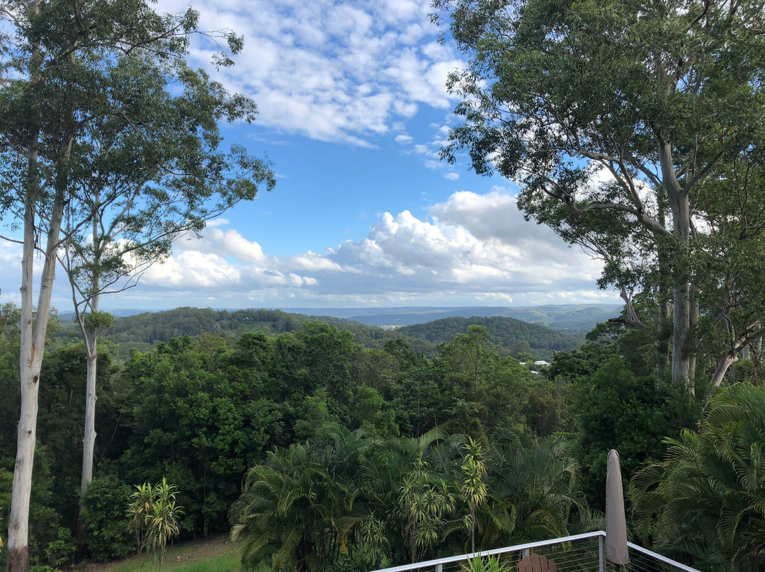 Phoenix Eumundi B&B主图