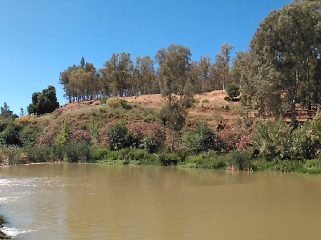 Molino del Realaje-Alcala de Guadaira必去景点