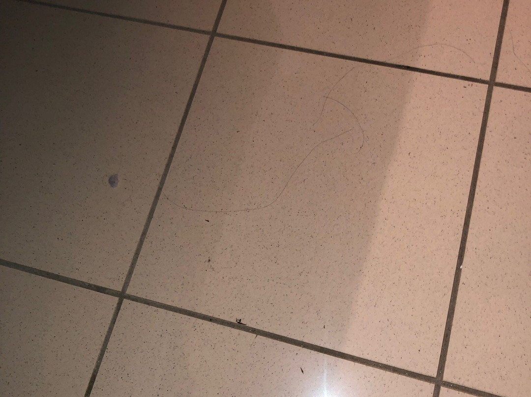 萨维奥酒店主图