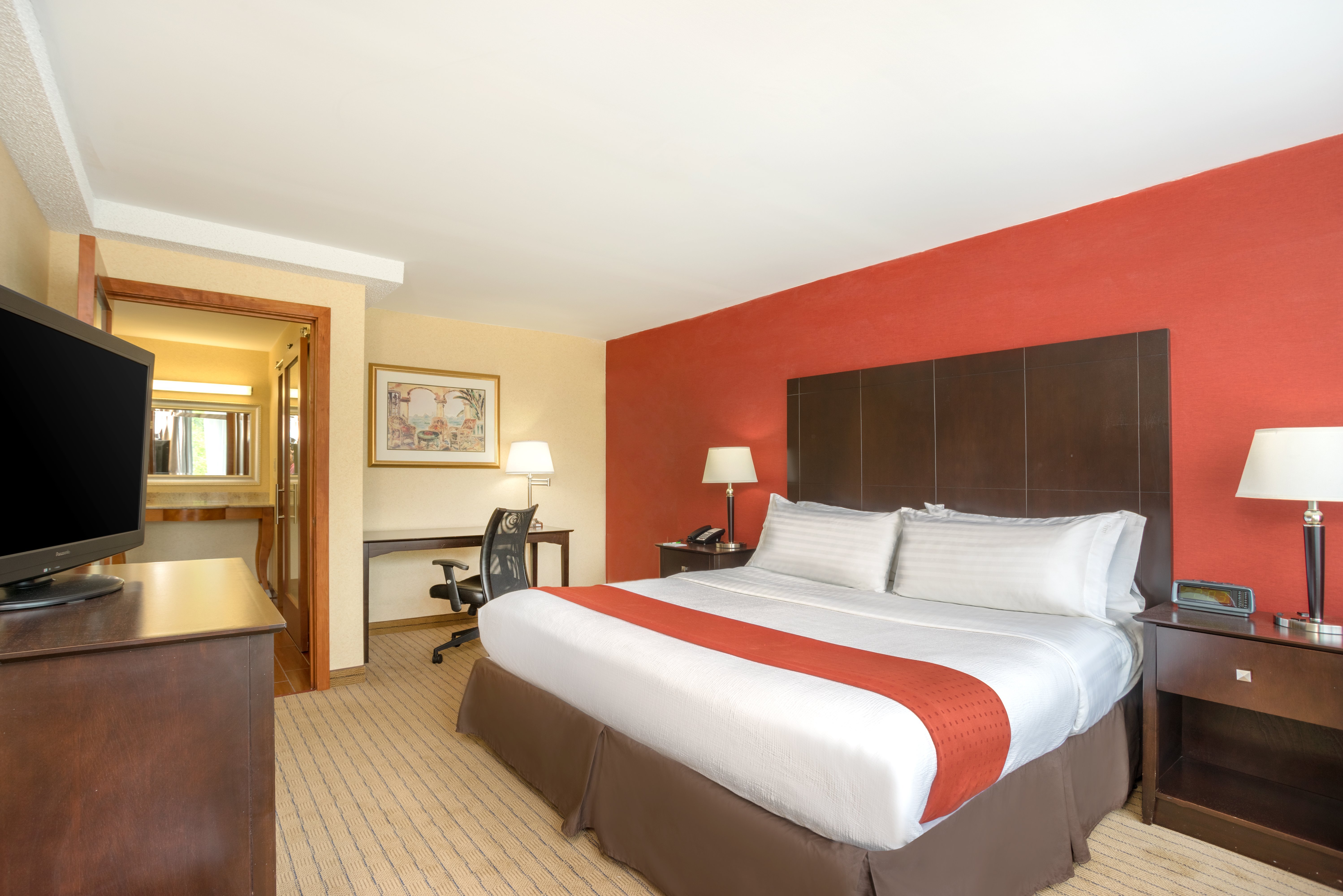 夏洛茨维尔蒙蒂塞洛假日酒店-官方