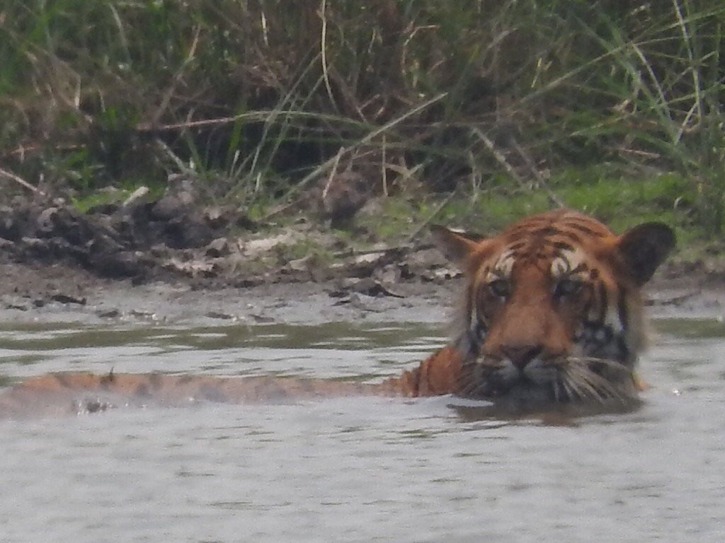 Ever Wild Trek & Tours-奇旺国家公国必去景点