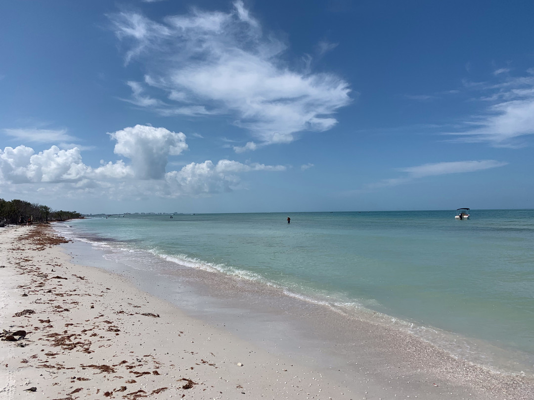 Honeymoon Island State Park景点图片