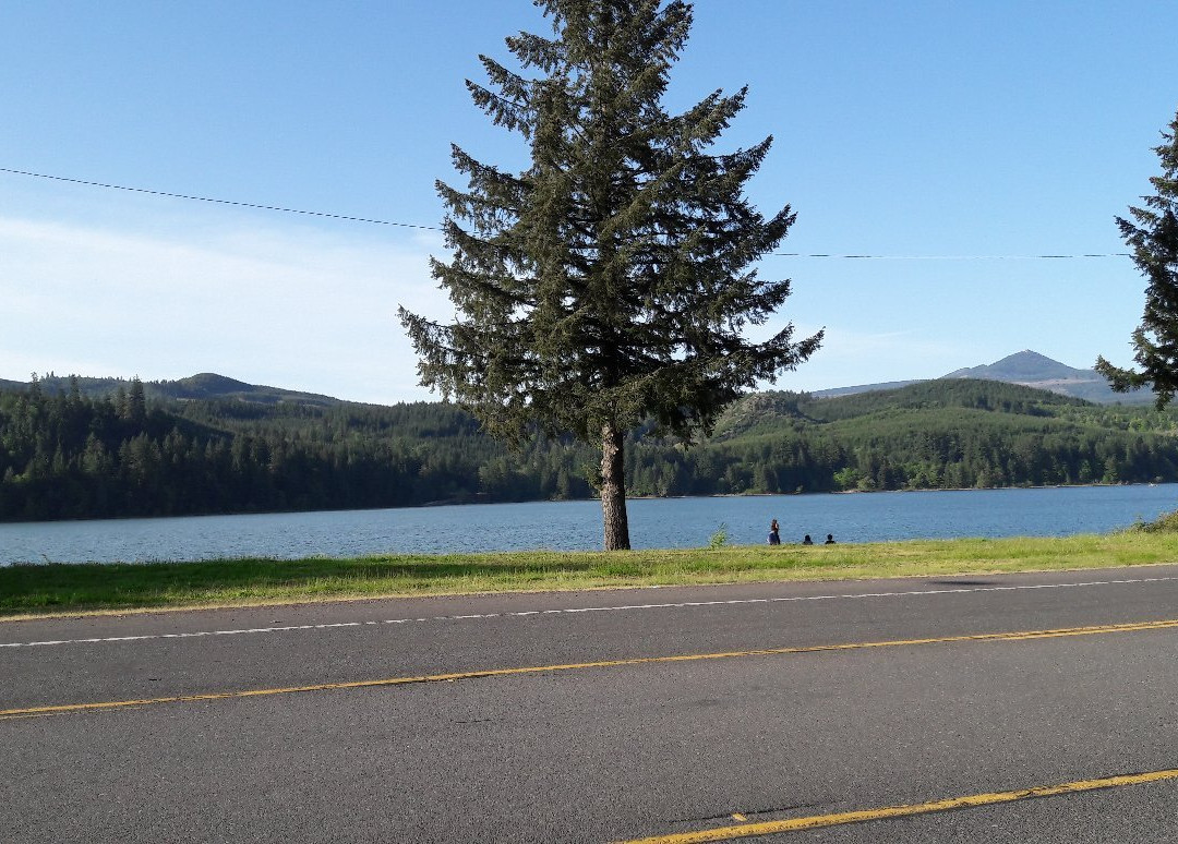 Foster Lake Inn主图