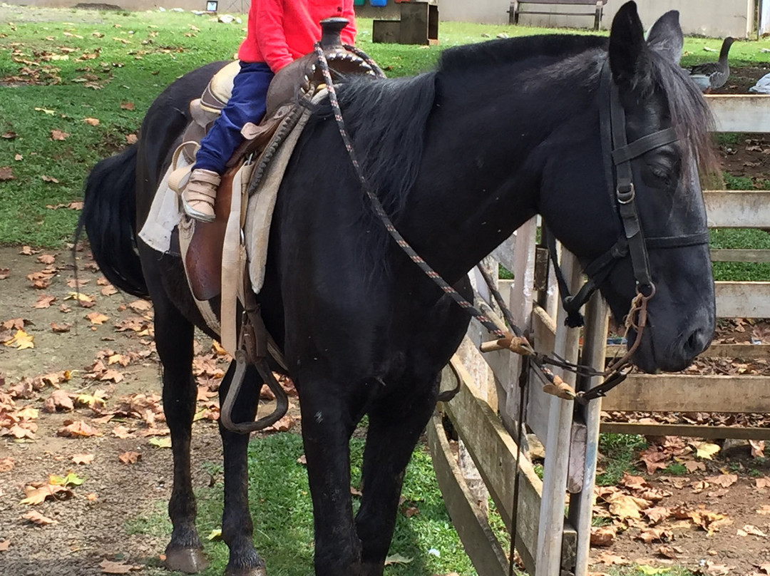 Ecologic Garden Hotel Fazenda主图
