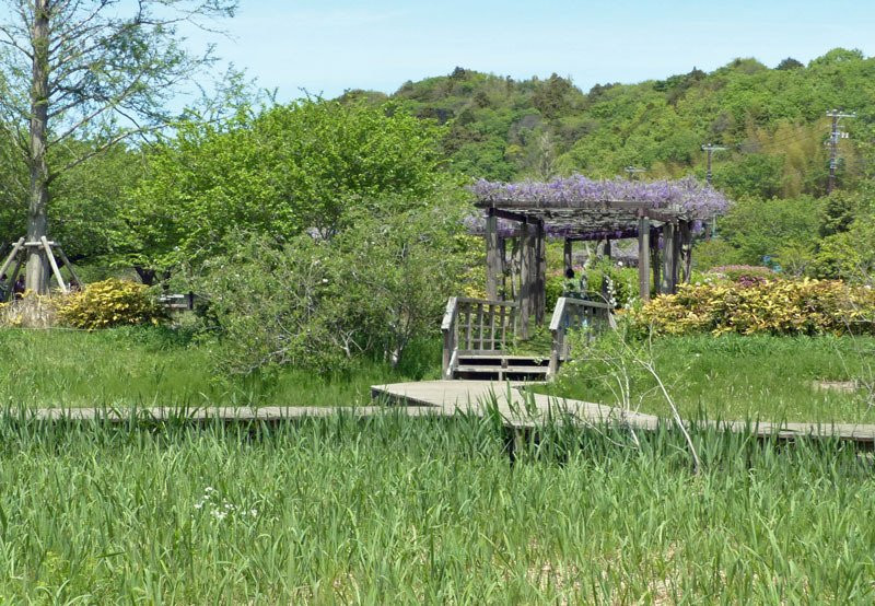 Hikichigawa Shinsui Park-藤泽市必去景点