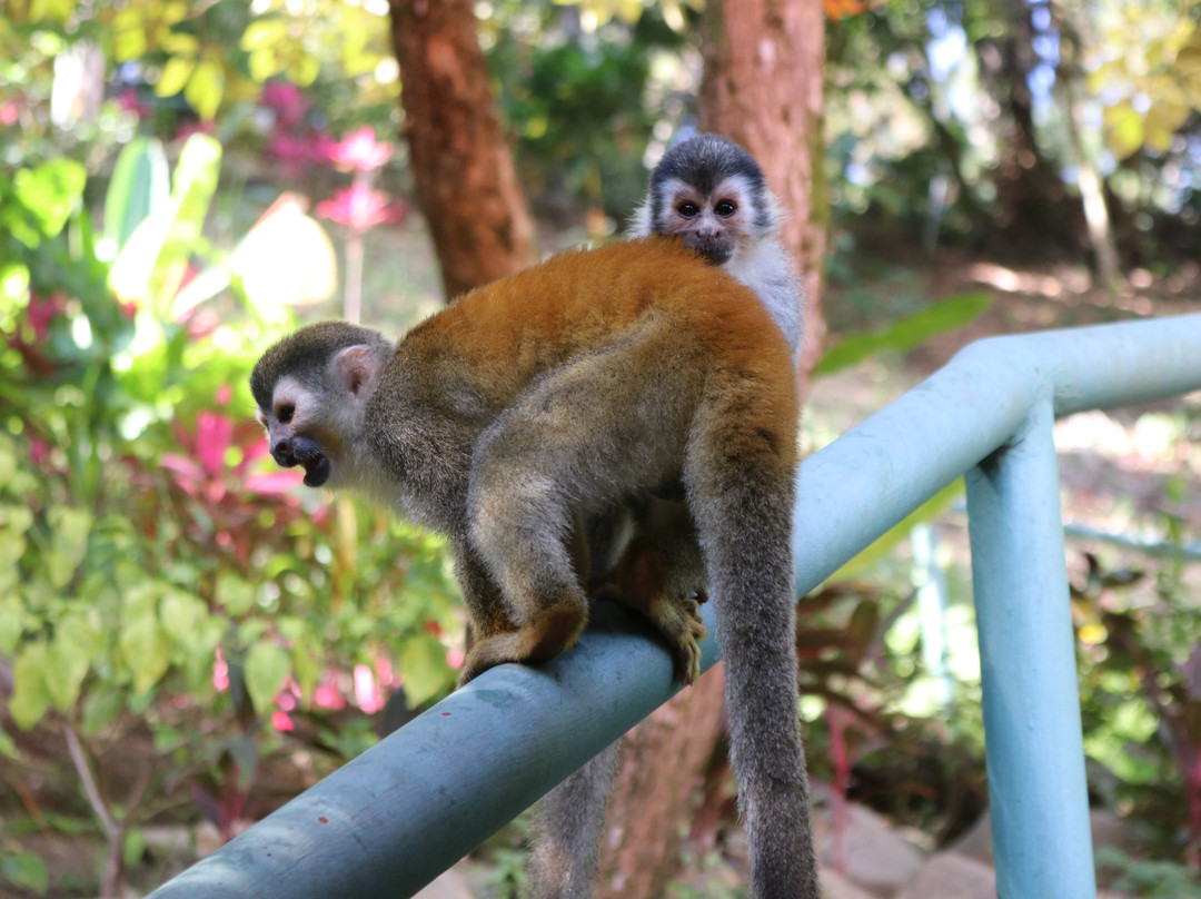 Boutique Hotel Las Cascadas