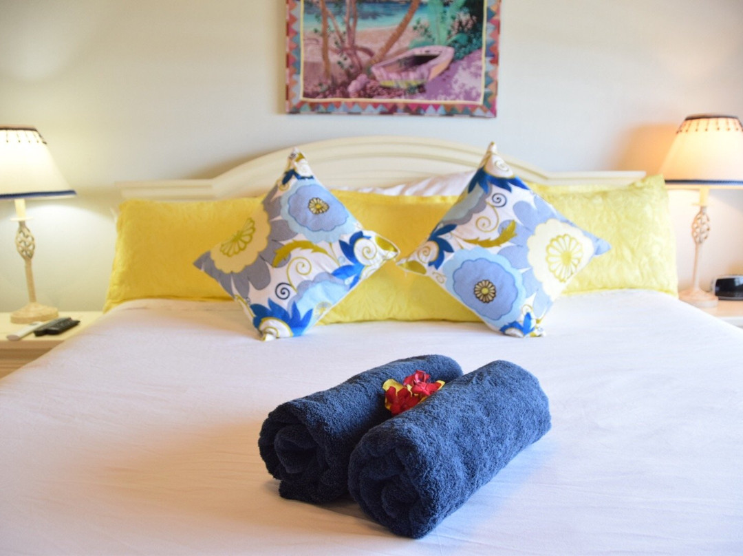 Virgin Gorda Village主图