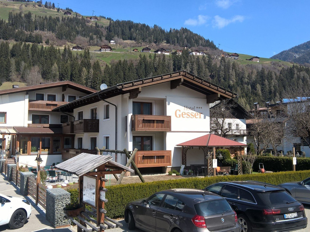 Hotel Gesser主图