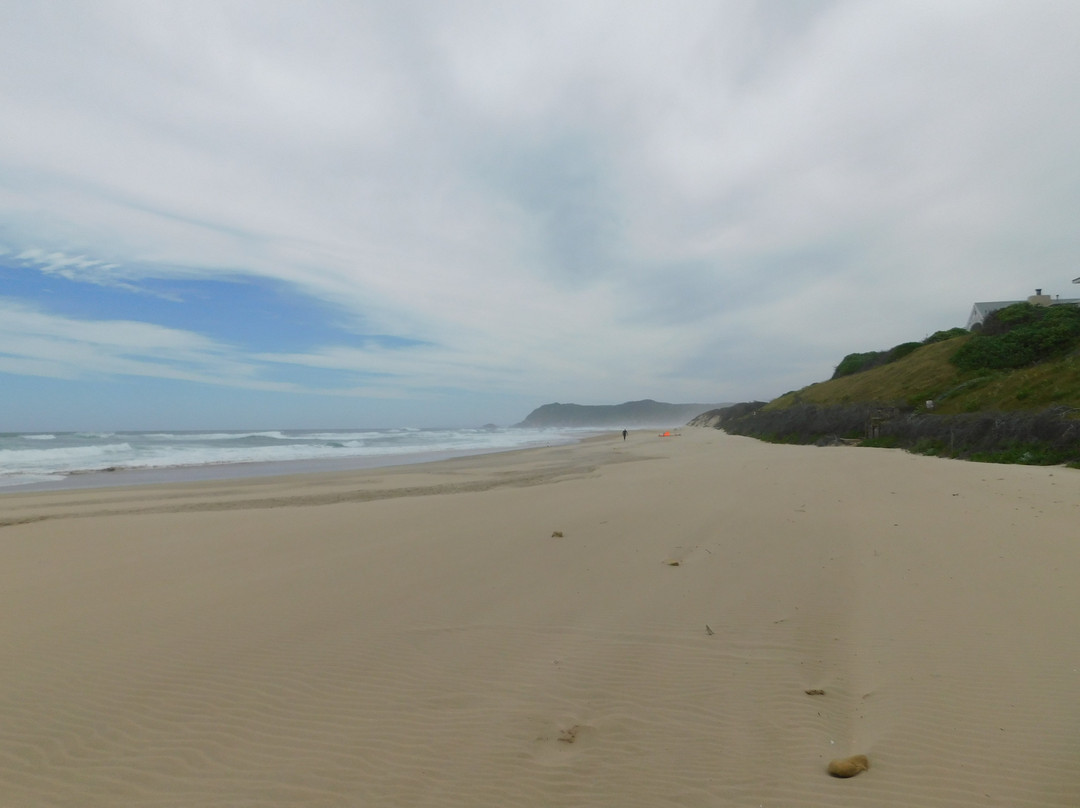 Cola Beach-Sedgefield必去景点